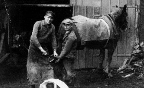Wilhelm beim Hufbeschlag im Hof
